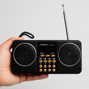 YUEGAN YG-1881BT Portable Digital Music Player with FM Radio,...